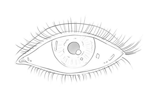 How to Draw Eyes: A Step-by-Step Guide - Udemy Blog