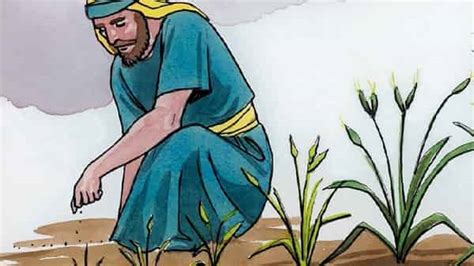 Parables of Jesus - The Parable of the Mustard Seed