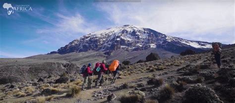 The best time of year to climb Kilimanjaro | Tailormade Africa