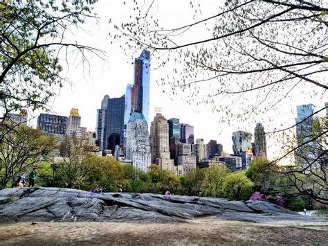 NYC ♥ NYC: Manhattan Schist Outcropping in Central Park