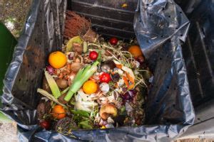 restaurant food waste in a garbage bin | Yamato Americas