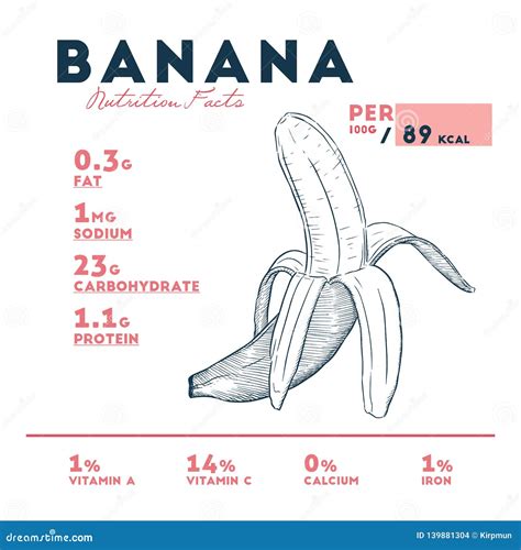 Banana - Nutritional Information Stock Vector - Illustration of green ...