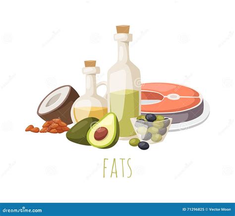 Good Fats Vs Bad Food For Healthy Diet And Nutritious Meal Outline Diagram Vector Illustration ...