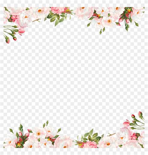 Pink Flower Border Design Png | Best Flower Site