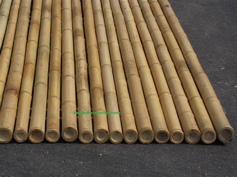 Quality Bamboo and Asian Thatch: Bamboo Cane's Fencing natural color3-" 1-1/2. inch diameter ...