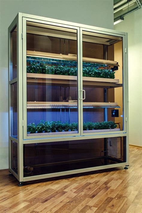 This Indoor Farm Can Bring Fresh Produce to Food Deserts | WIRED