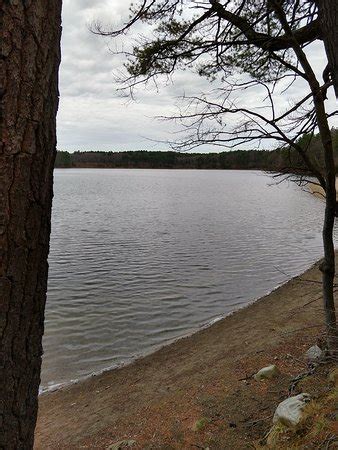 Walden Pond State Reservation (Concord) - 2019 All You Need to Know BEFORE You Go (with Photos ...