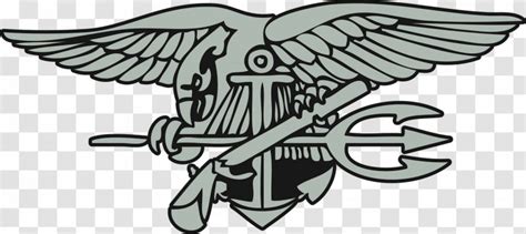 United States Navy SEALs Special Warfare Insignia - Logo Transparent PNG