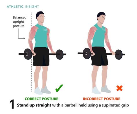 How to Do Barbell Curl: Variations, Proper Form, Techniques, Barbell - Athletic Insight