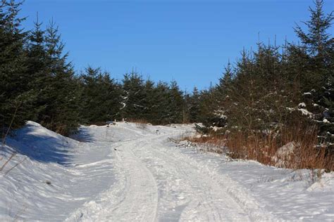 Snow Disruption in the UK - A Simple Life of Luxury