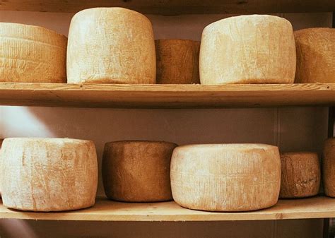 The journey of Ireland's cheese from farm to cheesemaker