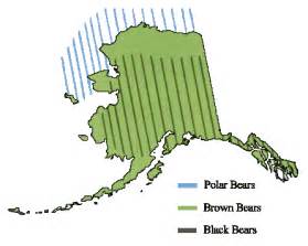 Bear Safety in Alaska - Alaska Public Lands (U.S. National Park Service)