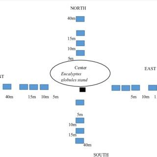 Schematic presentation of the field experiment design. | Download Scientific Diagram