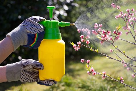 Sin sentido ambulancia Debilidad nutricion foliar Adaptación amplitud ...