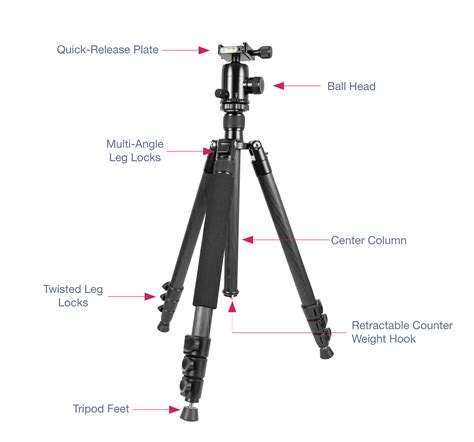 How to choose a tripod for food photography — Fran Flynn Courses