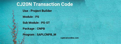 CJ20N SAP tcode for - Project Builder