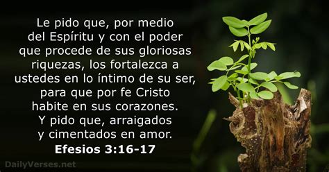 Efesios 3 - LBLA & NVI - DailyVerses.net