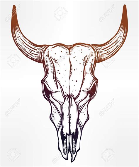 Bull Skull Drawing at GetDrawings | Free download