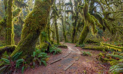 How to Visit Pacific Northwest National Parks on Points - NerdWallet