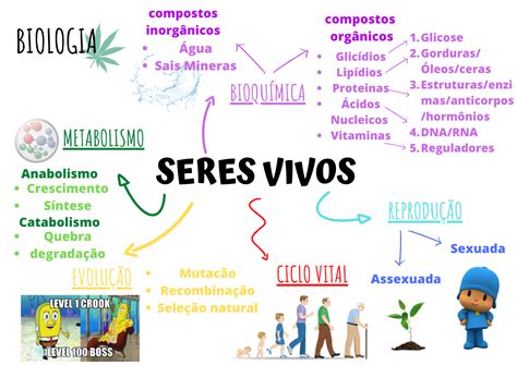 Caracteristicas De Los Seres Vivos Mapa Mental Kingqrturogi | Porn Sex ...