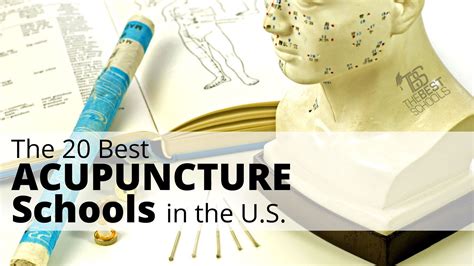 The 20 Best Acupuncture Schools in the U.S. | Acupuncture, School ...