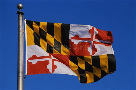 Maryland State flag stock image. Image of symbol, flag - 23151837