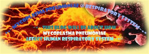 *+~Mycoplasma pneumoniae ♥ Respiratory System~+*: Reservior & Transmission of Mycoplasma pneumoniae