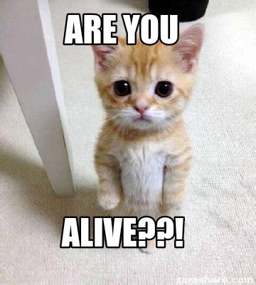 Meme Creator - Funny Are you Alive??! Meme Generator at MemeCreator.org!