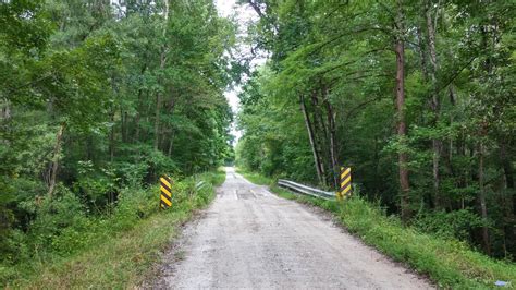 Trip Report - Croatan National Forest » NCFishes.com