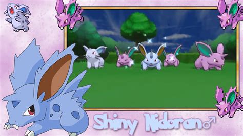 Live Shiny Nidoran Male 32 Horde Encounters - Pokemon X & Y - YouTube