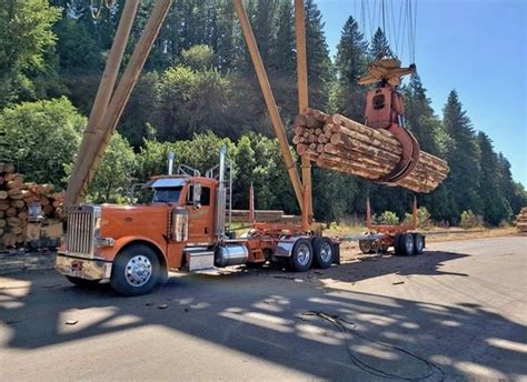 Custom log truck with crane