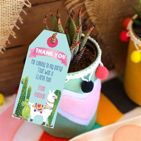 Llama Party Decorations | Alpaca Cactus Theme | Llama Party Decor ...