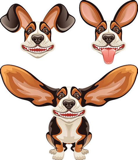 Best Dog Ears Illustrations, Royalty-Free Vector Graphics & Clip Art ...