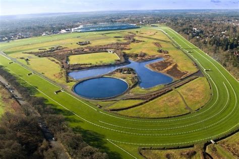 Horse Racing Ground & Track Types Explained: | Caan Berry