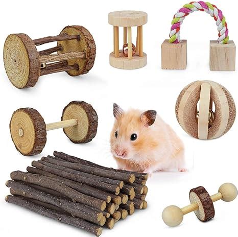 Amazon.com : 7 Pack Hamster Rat Chew Toys Chinchilla Guinea Pig Toys Natural Wooden Pine ...