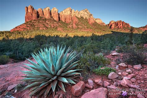 Desert Southwest Landscape Photography: Utah, Arizona, New mexico