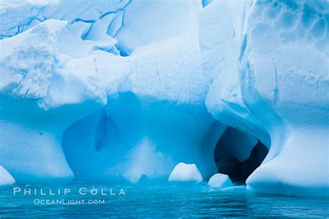 Cierva Cove, Antarctica – Natural History Photography Blog