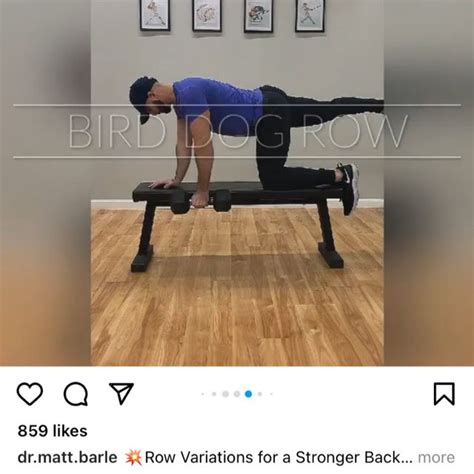 Bird Dog Row by Rushfitness 💪🏽 - Exercise How-to - Skimble