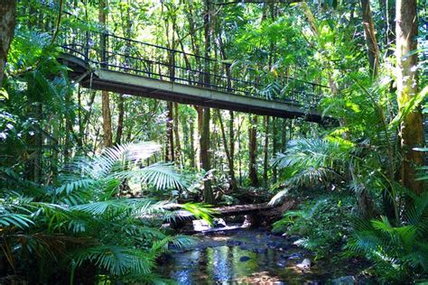 Cape Tribulation, Mossman Gorge from Cairns or Port Douglas 2024 - Cairns & the Tropical North