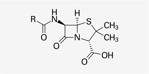 Anti-Infective Drugs Nursing Considerations & Management - RNpedia