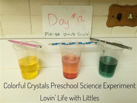 Colorful Crystals Science Experiment - Lovin' Life with Littles