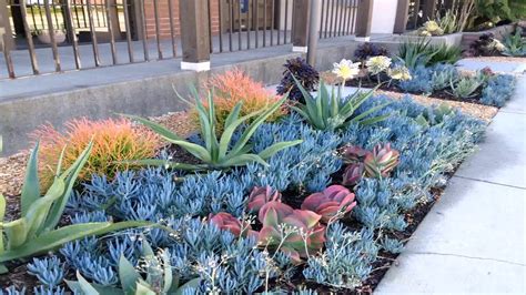 Drought Tolerant Landscape Design Pictures - YouTube