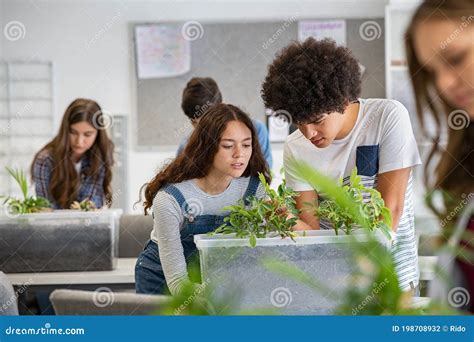 College Students Studying Plants at Biology Lesson at School Stock Photo - Image of growth ...