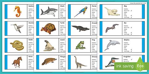 Classifying Vertebrates | Animal Cards - Twinkl