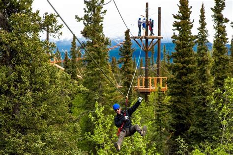 Denali Park Zipline Adventure 3-Hour Tour in Alaskan Tundra 2024 ...