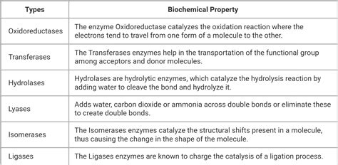 [Solved] Explain the concept of enzyme nomenclature and classification using... | Course Hero