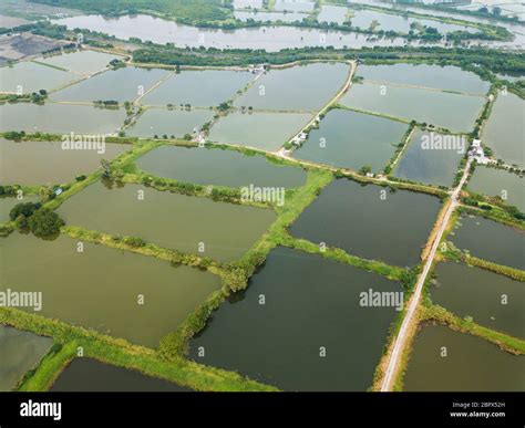 Top view of Fish hatchery pond Stock Photo - Alamy