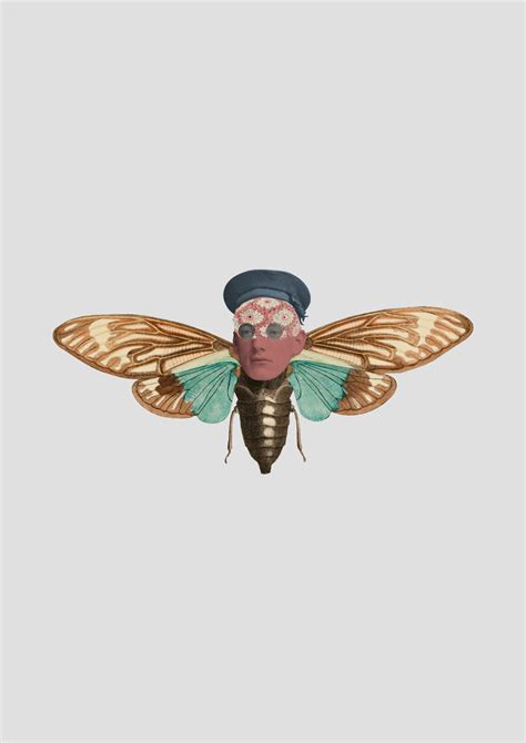 Insects / Digital Collage on Behance