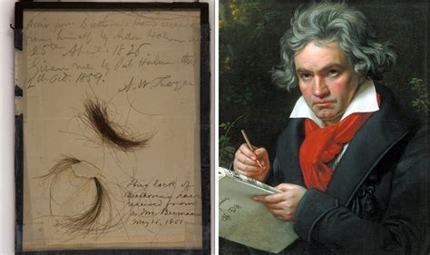 New DNA tests on Beethoven's hair provide clues to composer's death and bad health | History ...