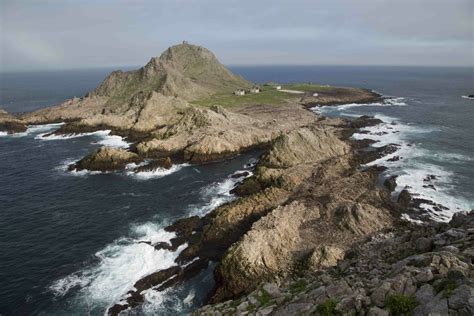 Protecting San Francisco’s Wild Islands - The San Franciscan